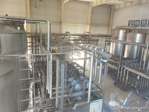 楓葉寶貝探秘花花牛工廠，行走課堂解鎖童年新體驗(yàn)